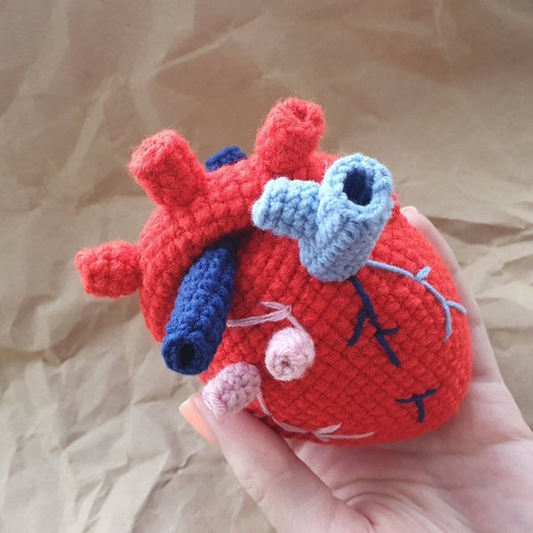 Human heart crochet PATTERN amigurumi, Real heart as gift for a cardiologist pattern crochet, Anatomical heart crochet organ Ukraine saler