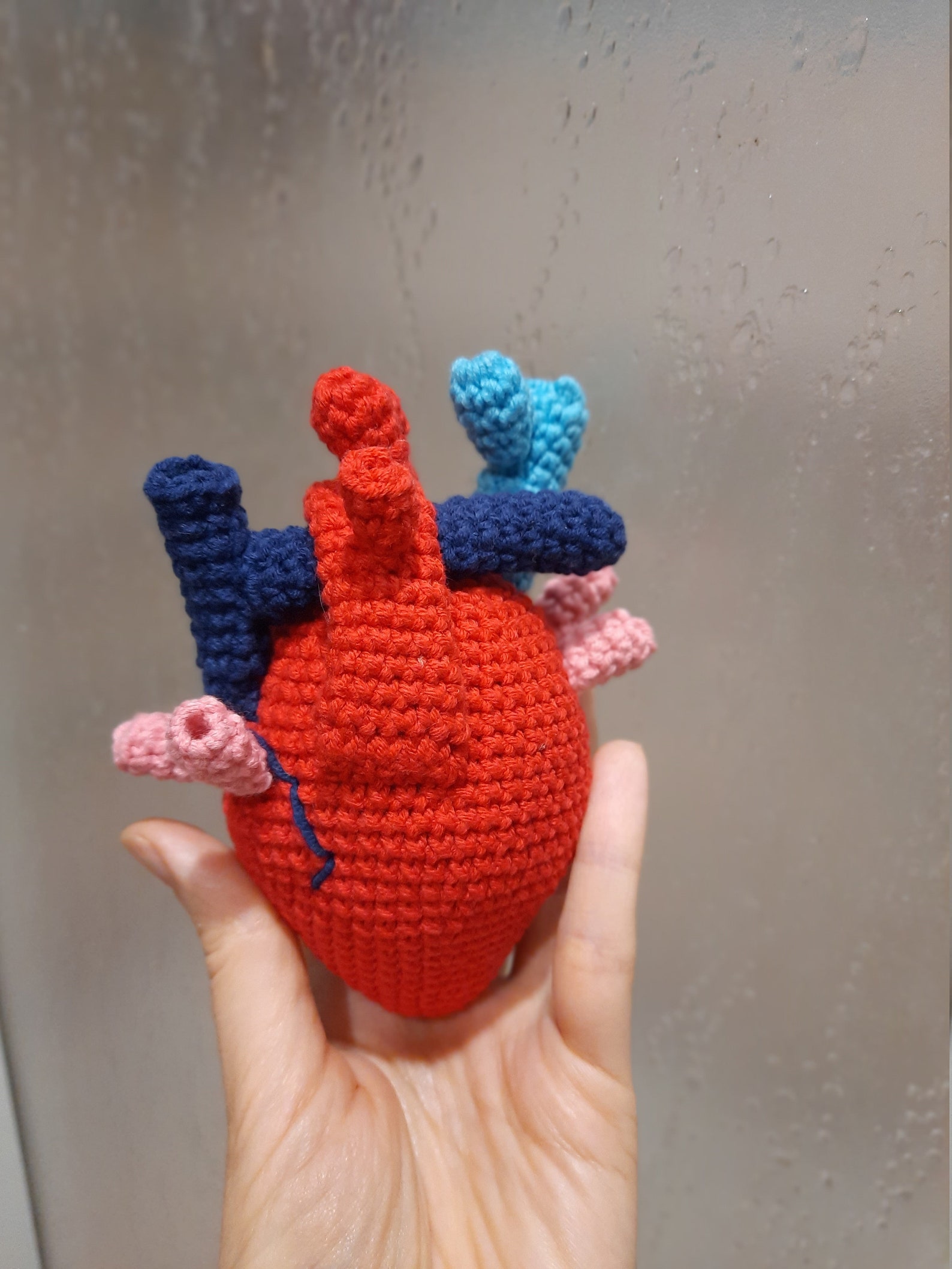 Anatomical heart crochet pattern Human heart crochet as Etsy
