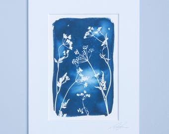 Reprodukcja giclee w technice cyjanotypii, 6x4" (10x15,5 cm). Oprawiona lub nie.