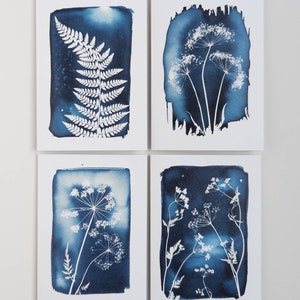 Lot de quatre cartes de voeux vierges avec des reproductions de mes impressions cyanotypie
