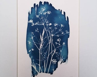 Original Botanical Art Cyanotype Print