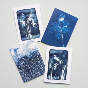 Lot de quatre cartes de voeux vierges avec des reproductions de mes impressions cyanotypie