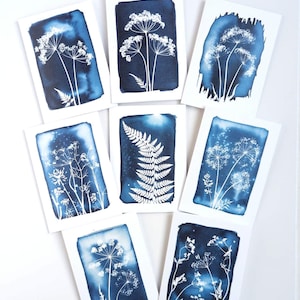 Könnte beinhalten: Eine Sammlung botanischer Kunstdrucke mit weißen Pflanzensilhouetten vor tiefblauem Hintergrund. Jeder Druck zeigt eine andere Pflanze, darunter Farne und zarte Blumenarrangements, auf einer weißen rechteckigen Karte.
