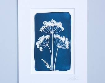 6x4" (10x15.5cm) Reproduction Giclee Cyanotype print. Mounted or Unmounted