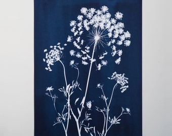 A3 Unmounted, Unframed Original Botanical Art Cyanotype Print