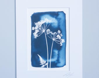 6x4" (10x15.5cm) Reproduction Giclee Cyanotype print. Mounted or Unmounted.