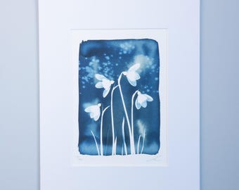 複製ジクレー・シアンタイプ・プリント。（プリントサイズとマウントは