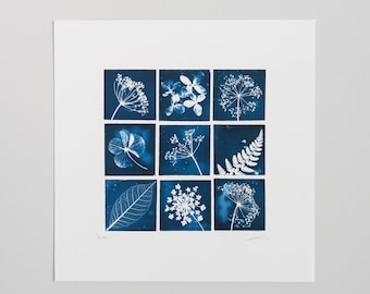 Unmounted limited Edition Reproduction Giclee Cyanotype print 8"x 8"