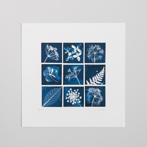 Unmounted limited Edition Reproduction Giclee Cyanotype print 8"x 8"