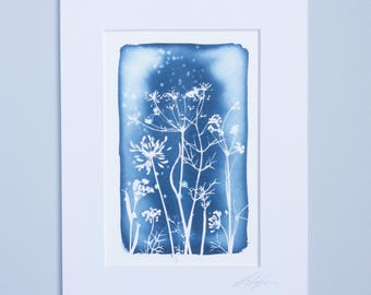 6x4" (10x15.5cm) Reproduction Giclee Cyanotype print. Mounted or Unmounted
