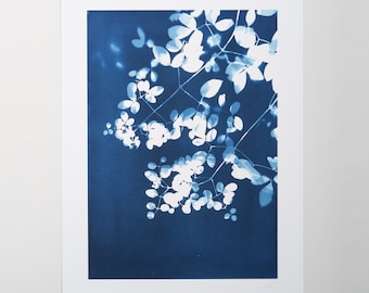 Unmounted Reproduction Giclee Cyanotype print of Clematis Leaves. (Option of print size)