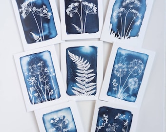 Pack of Eight Blank Greetings Cards with Reproductions of my Cyanotype Prints