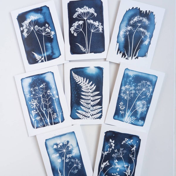 Lot de huit cartes de voeux vierges avec des reproductions de mes impressions cyanotypie