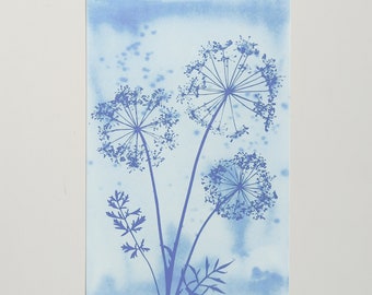 6x4" (10x15.5cm) Limited Edition Reproduction Giclee Inverted Cyanotype print