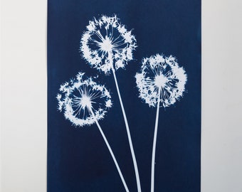 A3 Unmounted, Unframed Original Botanical Art Cyanotype Print
