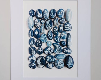 Reproduction Giclee Cyanotype print of Cyanotype printed Pebbles. (Option of print size and mount)