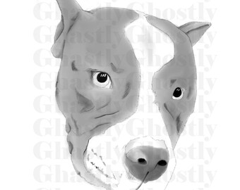 staffy stuff
