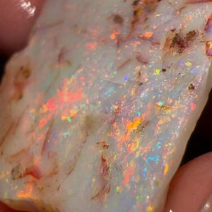 May include: A raw, unpolished white opal gemstone featuring a translucent base with vibrant flashes of red, orange, yellow, and green play-of-color. The stone has an irregular, jagged shape with visible natural inclusions and a textured surface.