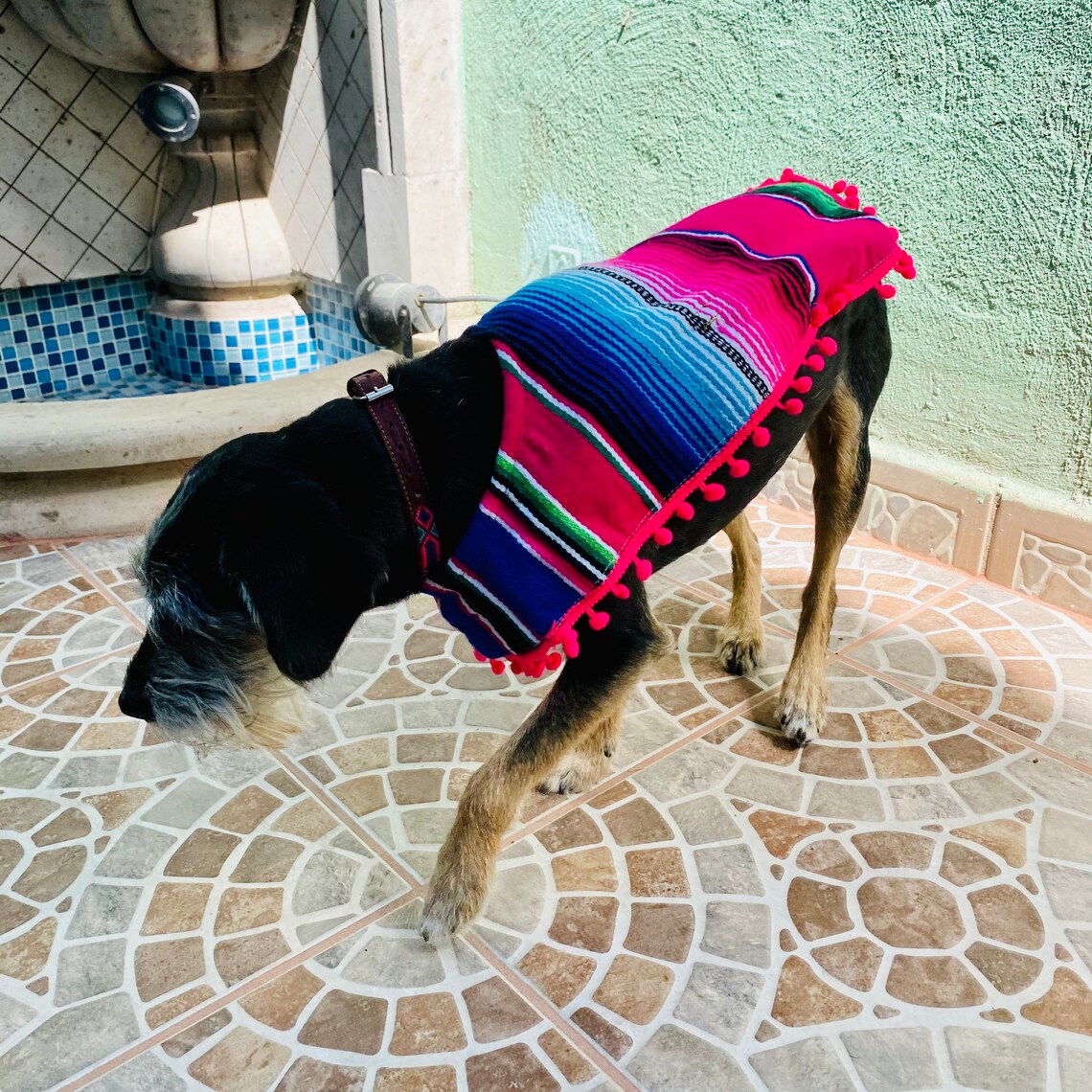 Handmade embroidered mexican dog poncho. Artisanal pet poncho. | Etsy