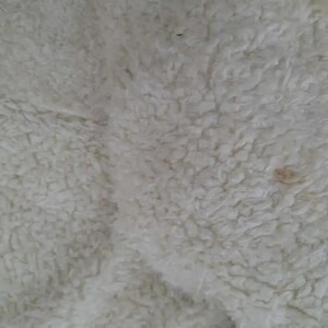 May include: Close-up of a cream-colored, textured fabric with a dense, fluffy appearance. The material has a soft, plush texture, with slight variations in color and small dark specks.