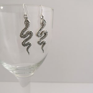 May include: A pair of silver snake earrings. The snakes are coiled and have a textured surface.