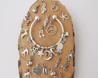 Silver charm bangle with any two charms of your choice.