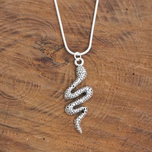 May include: A silver snake pendant necklace on a silver chain. The snake is coiled and has a textured surface.