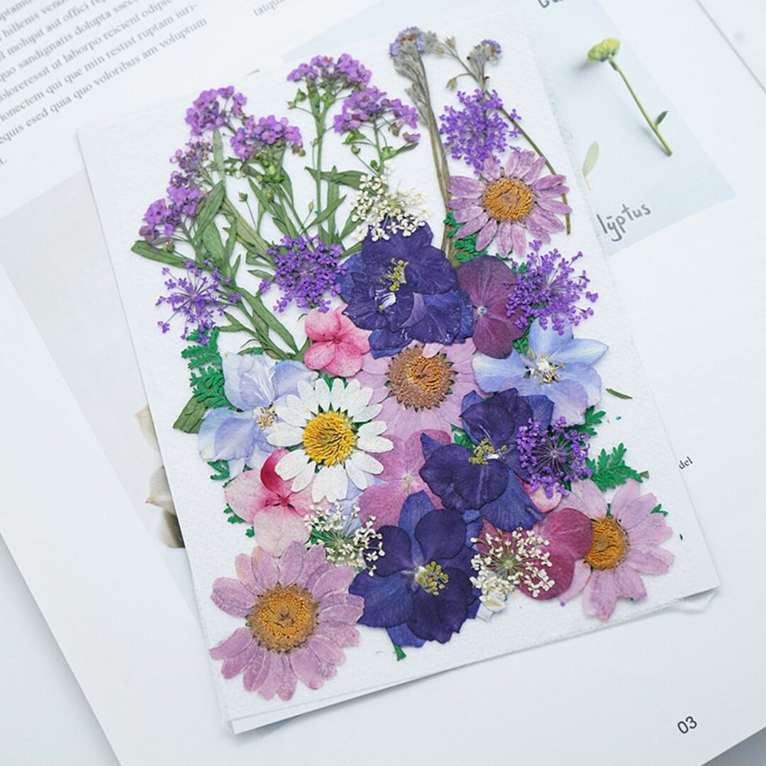 A Pack of 40 PCS Pressed Dried Mixed Flowers Preserved Real Etsy