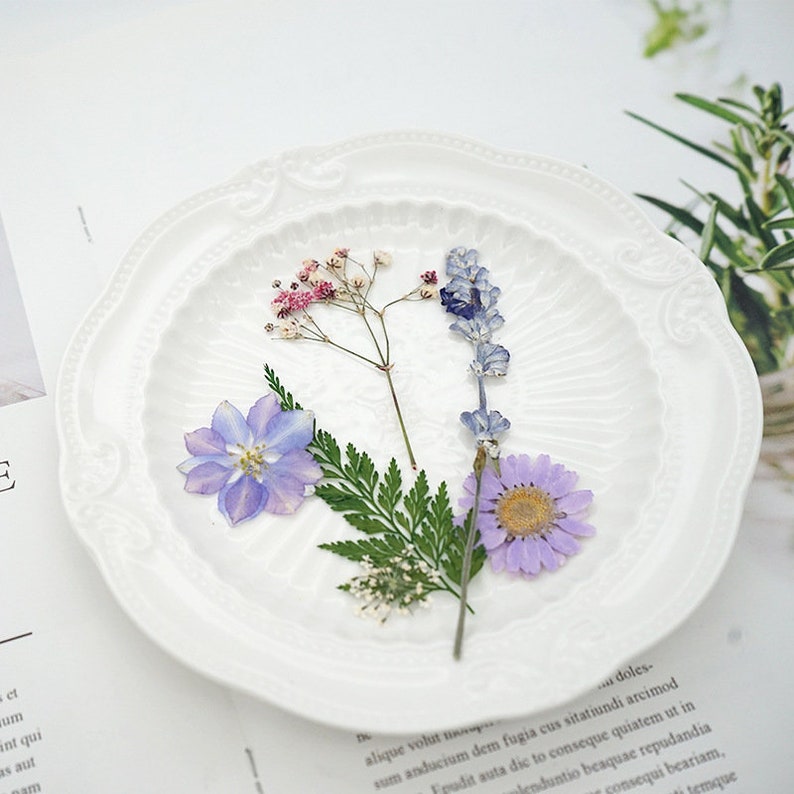 A Pack of 18 PCS Pressed Dried Mixed Flowers Preserved Real Etsy