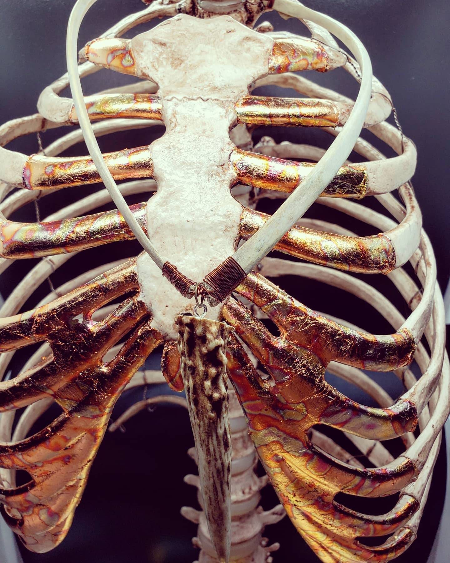 Deer Rib Bone & Antler Tip Necklace Etsy