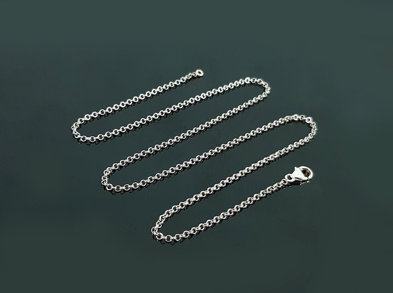 May include: A silver chain necklace with a lobster clasp closure.