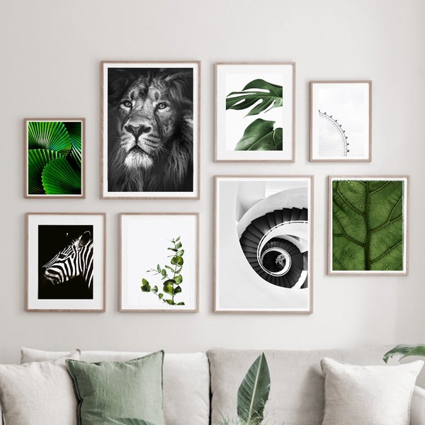 Green Wall Art Set, Black and White Gallery Wall, Green Wall Decor, Green Aesthetic, Neutral Decor, Green Aesthetic Collage, b&w Photo Art