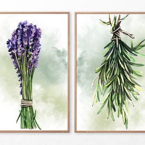 Puede incluir: Dos acuarelas de hierbas. La primera acuarela muestra un ramo de flores de lavanda atadas con una cuerda. La segunda acuarela muestra un ramo de romero atado con una cuerda.
