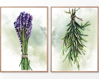 Könnte beinhalten: Zwei Aquarellbilder von Kräutern. Das erste Bild zeigt einen Bund Lavendelblüten, die mit Schnur zusammengebunden sind. Das zweite Bild zeigt einen Bund Rosmarin, der mit Schnur zusammengebunden ist.