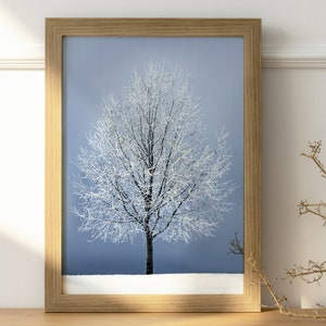 Snowy Tree Winter Photography, Nordic Landscape, Lonely Tree, Moody Winter, Snow Covered Tree, Nordic Landscape, Snowy Forest, Winter Photo
