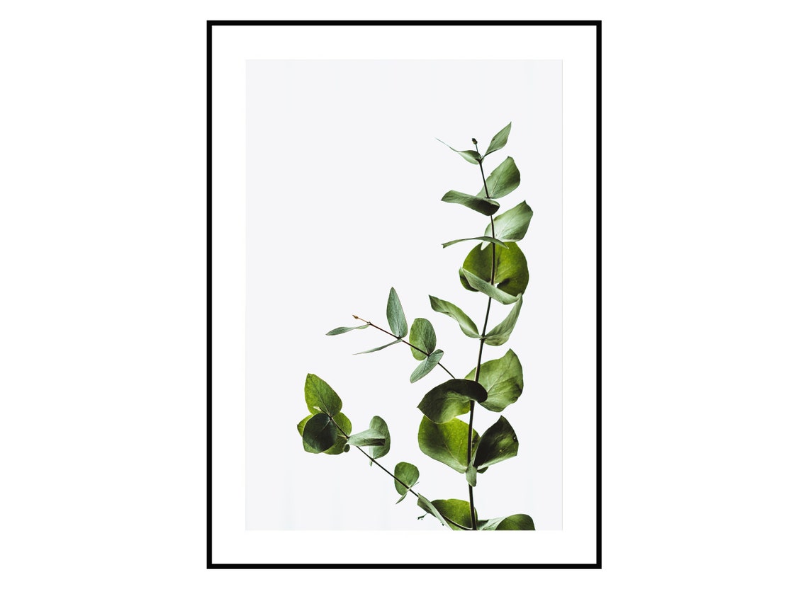 Eucalyptus Print Eucalyptus Wall Art Greenery Decor Etsy