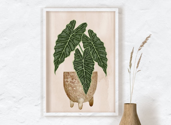Alocasia Wall Art, Alocasia Polly, Alocasia Elephant Ear Plant Print, House Plants Wall Decor, House Plant Art, Urban Jungle, Plant Art