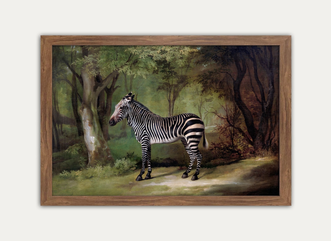 Vintage Zebra Painting Wall Art Vintage Decor Vintage Art Etsy