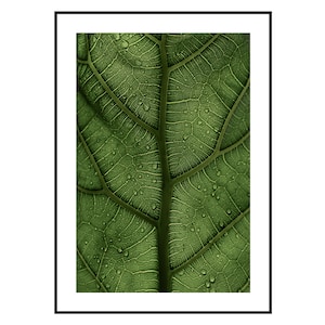 Closeup Green Leaf Photo, Leaf wall Art, Plant Art, House Plants, leaf Decor, tropical leaf print, Green wall Decor, Greenery Poster