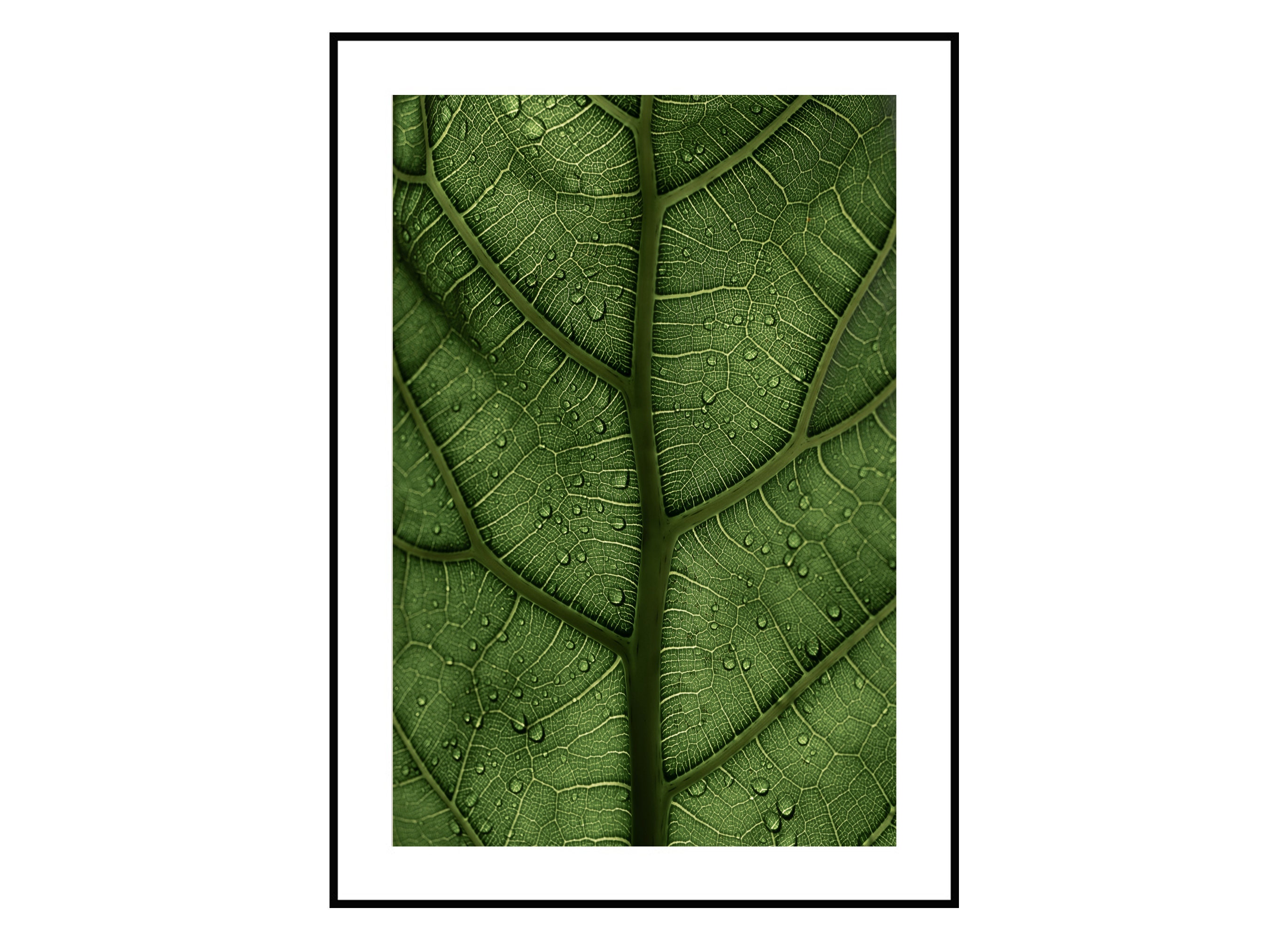 Closeup Green Leaf Photo, Leaf wall Art, Plant Art, House Plants, leaf Decor, tropical leaf print, Green wall Decor, Greenery Poster