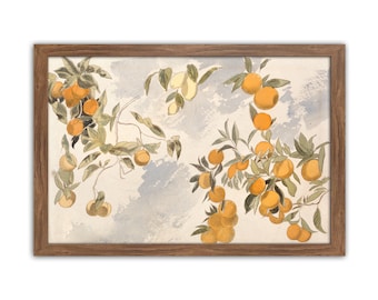 Citrus Wall Art, Orange Tree, Vintage Fruits, Kitchen Decor, Dining Room, Country Kitchen, Oranges, Citrus Painting, Rustic Kitchen Wall Art