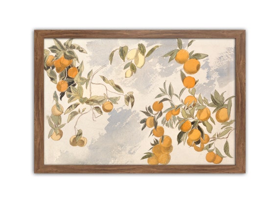 Citrus Wall Art, Orange Tree, Vintage Fruits, Kitchen Decor, Dining Room, Country Kitchen, Oranges, Citrus Painting, Rustic Kitchen Wall Art