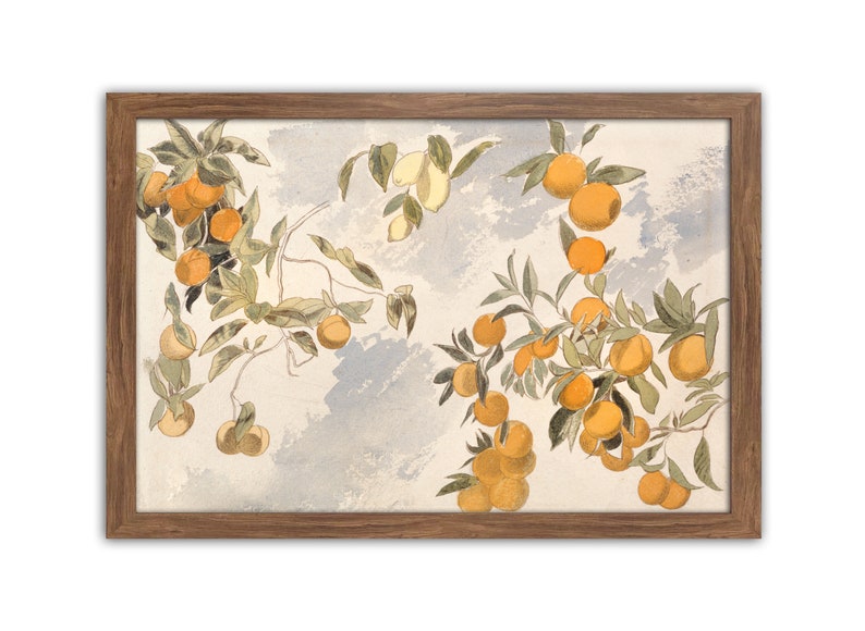 May include: A watercolour painting of a citrus tree branch with ripe oranges and lemons against a light blue and white background.