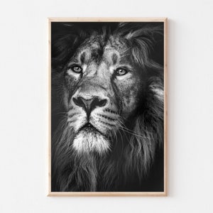 Lion Wall Art, Lion Printable, Lion Photo, Black and White Lion, Safari Nursery, Digital Download, Animal Print, Animal Photography
