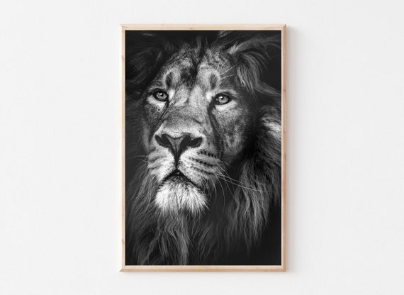 Lion Wall Art, Lion Printable, Lion Photo, Black and White Lion, Safari Nursery, Digital Download, Animal Print, Animal Photography