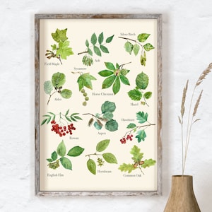 Herbs Poster, Common Herbs, Watercolor Herbs Wall Signs, Printable Herbs, Herbs Print, Herb Wall Sign, Kitchen Wall Art, Kitchen Decor