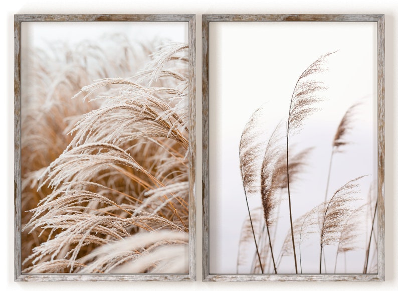 May include: Two framed prints of tall, feathery grasses. The left print shows the grasses covered in frost, while the right print shows the grasses in a more natural state.