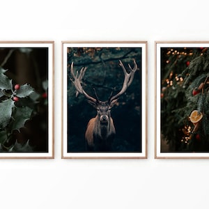 Winter Wonderland Printable Set of 3, Christmas Gallery Wall Art, Winter Photography, Reindeer Forest, Snow, Winter Stag, Majestic Deer