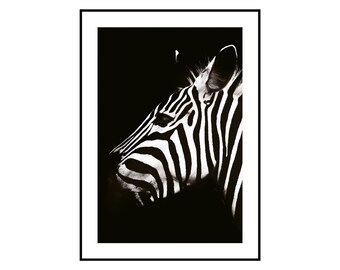 Zebra Print, Zebra Wall Art, Animal Photo, Zebra Download, safari Animals, black and white Photo, Minimal Gallery Wall, Animal Art Print