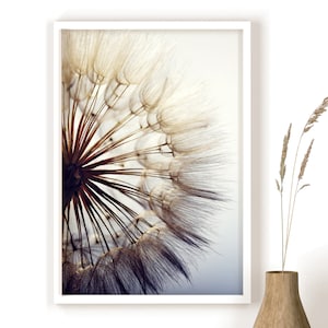 May include: A close-up of a dandelion seed head with delicate white hairs against a soft blue background.